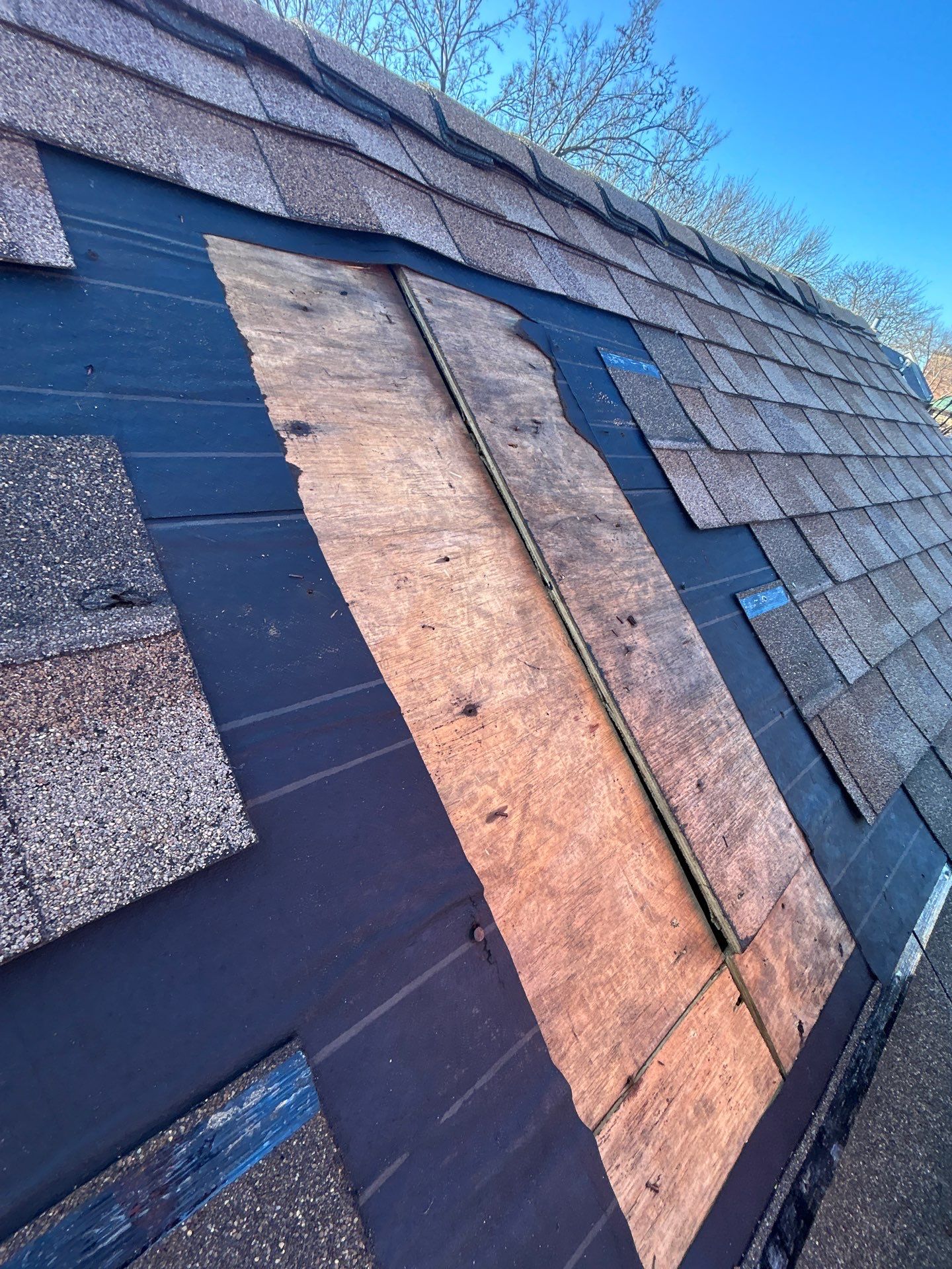 Dealing with Buckling Shingles on Your Roof? Expert Roof Repair Services in Chicago