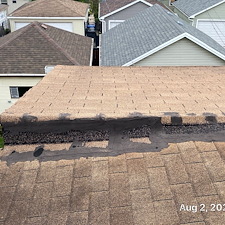 Durable-Shingle-Roof-Replacement-in-Chicago-by-Anchor-Point-Roofing 2