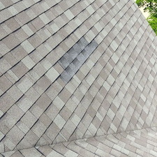 Got-Missing-or-Damaged-Shingles-on-Your-Roof-Anchor-Point-Roofing-Can-Fix-It 0