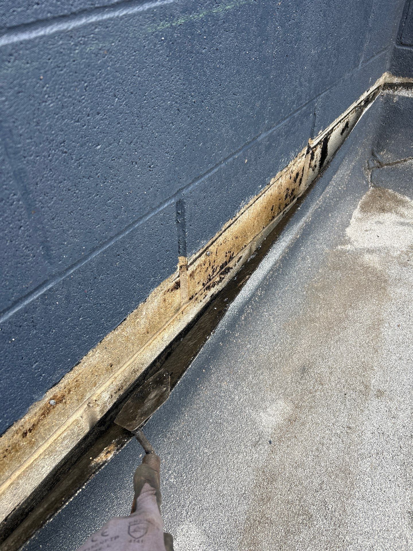 Loose Membrane Causing Chicago Flat Roof Leaks