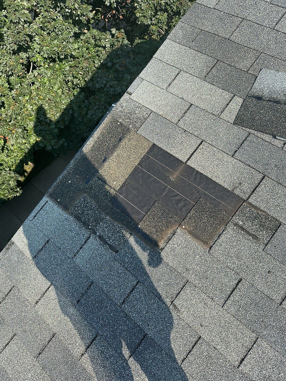 Missing Shingles in Skokie: Protect Your Home Now