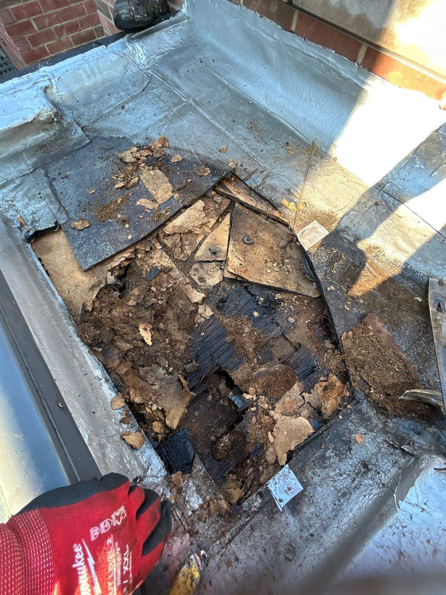 Rotten Plywood Repair for Flat Roof in Chicago – Get It Fixed Today