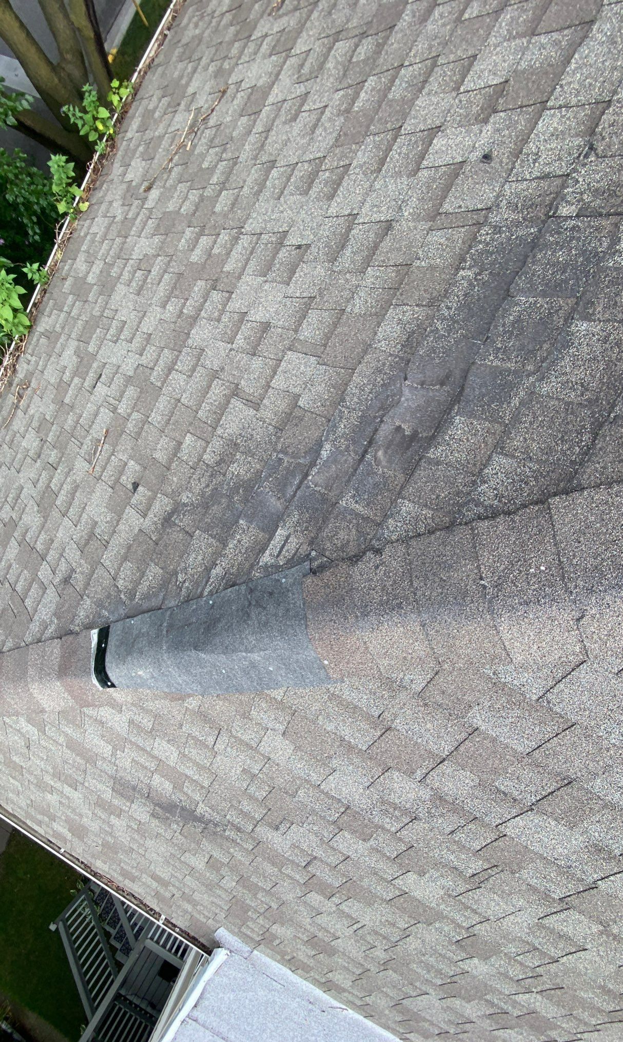 Shingle Damage in Chicago: Signs & Solutions